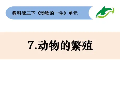 三年级下册科学课件 - 7《动物的繁殖》教科版