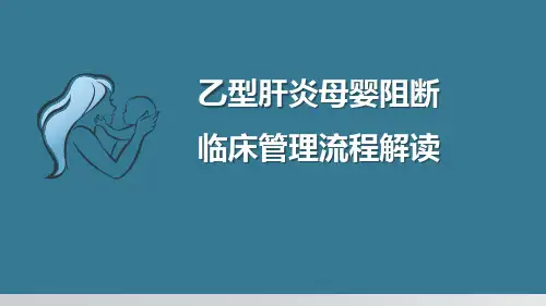 乙肝母婴阻断临床管理流程