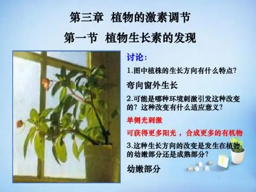 3.1.1植物生长素的发现