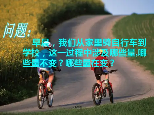 函数变量与常量 ppt课件