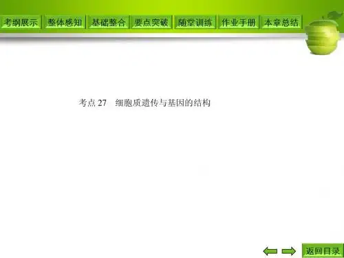 考点27 细胞质遗传与基因的结构