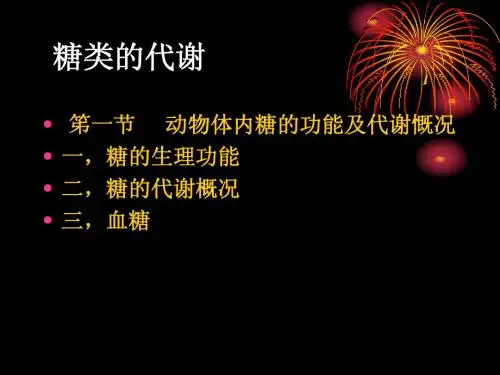 糖类的代谢
