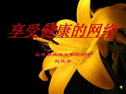 八年级上 第六课 第二框 享受健康的网络交往 课件