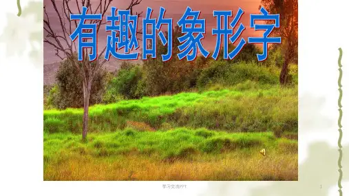 大班下阅读书本里的蚂蚁