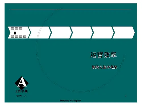 麦肯锡 - 概述与基本框架-运营效率