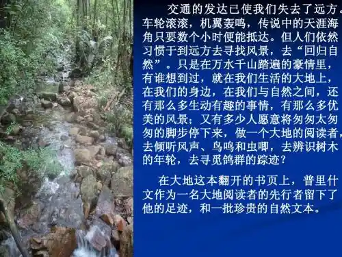 二、《林中小溪》