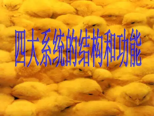 四大系统的结构和功能