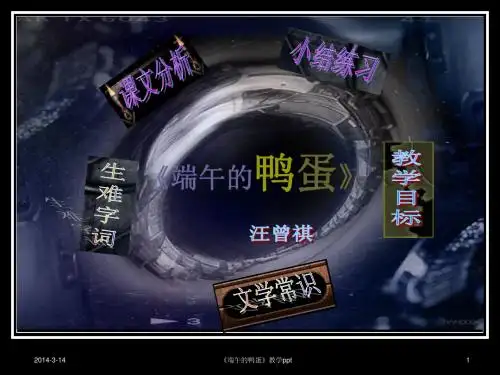 17端午的鸭蛋3