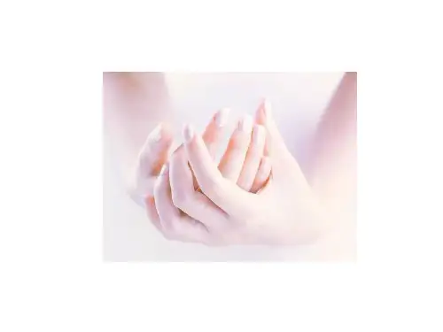第3课 湘教版美术一下《手形添画