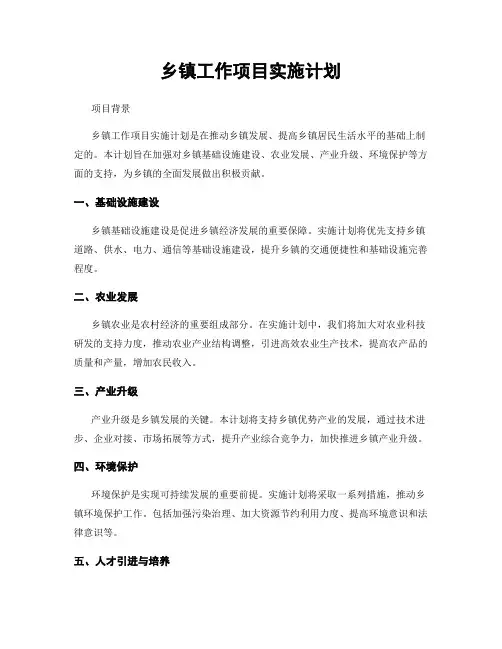 乡镇工作项目实施计划