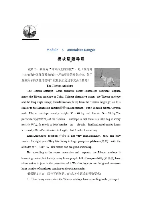 2018-2019高中英语外研版必修五学案：Module 6 SectionⅠ Reading (IntroductionReading ) Word版含答案