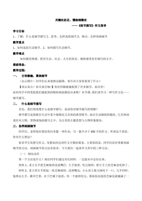 定稿细节描写教学设计