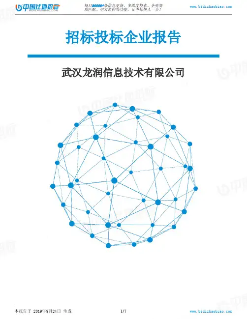 武汉龙润信息技术有限公司_中标190924