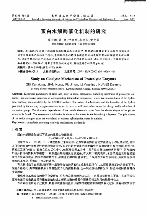 蛋白水解酶催化机制的研究