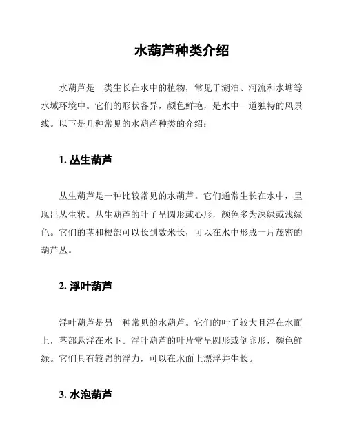 水葫芦种类介绍