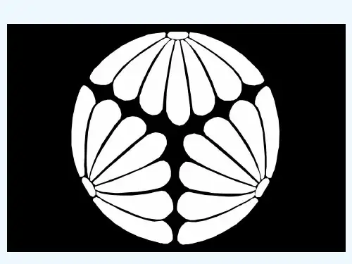 美丽的图案欣赏
