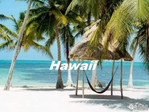 Hawaii 夏威夷