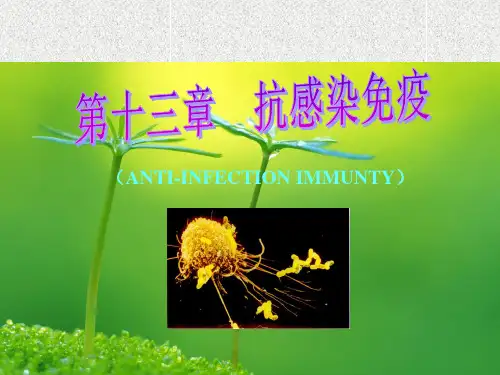 抗感染免疫PPT教学课件