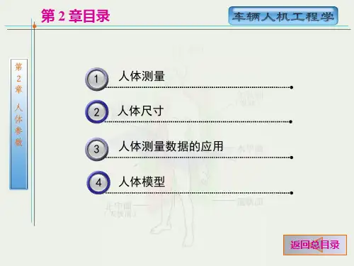 第2章人体尺寸测量(车辆人机工程学)