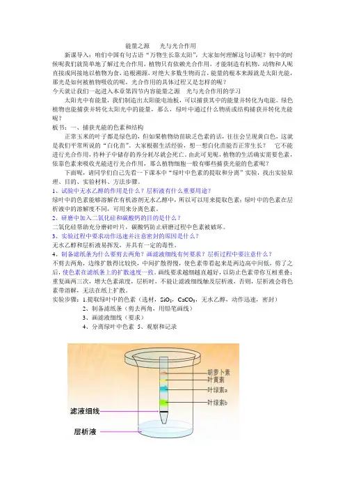 能量之源--光与光合作用教案