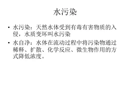 水污染的相关资料PPT(31张)