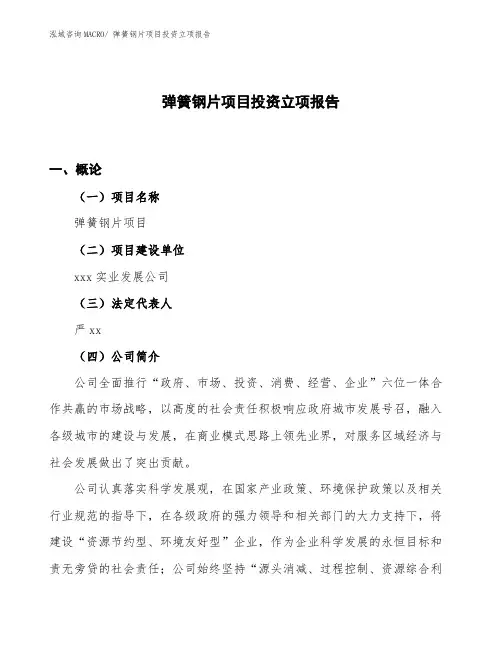 弹簧钢片项目投资立项报告