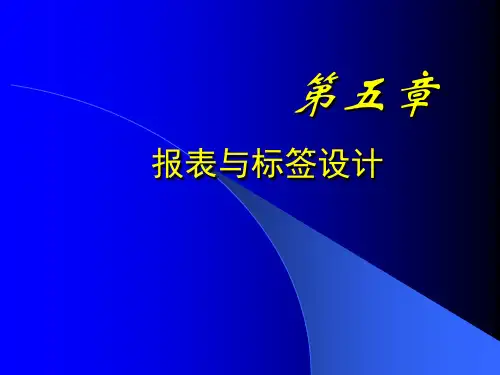 vf基础课件第五章 报表与标签