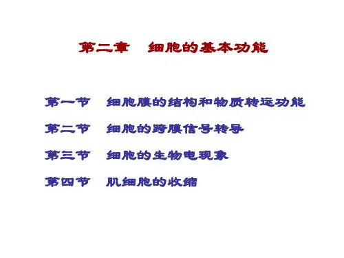 2.第二章 细胞的基本功能