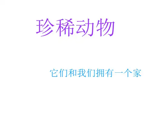珍稀动物