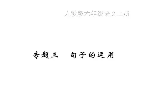 【六上】语文训练公开课课件期末复习专题 部编版2