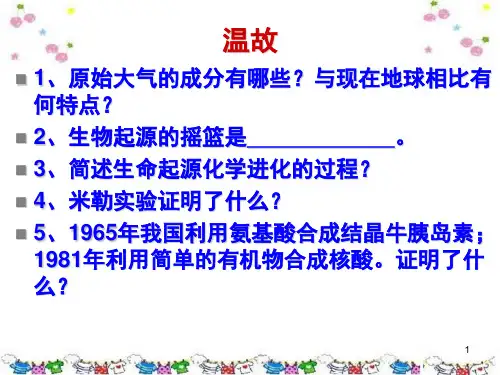 生物进化的证据(课堂PPT)