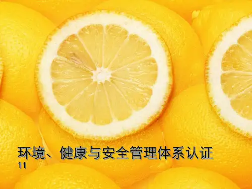 职业卫生ppt课件