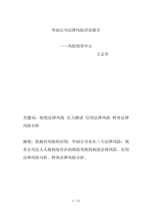华润公司风险评估报告