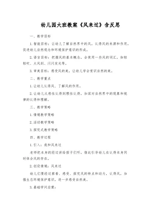 幼儿园大班教案《风来过》含反思
