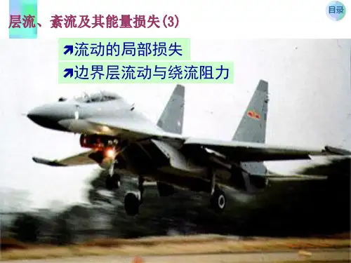 层流、紊流及其能量损失3