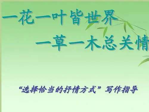 选择恰当的抒情方式