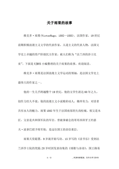 关于雨果的故事
