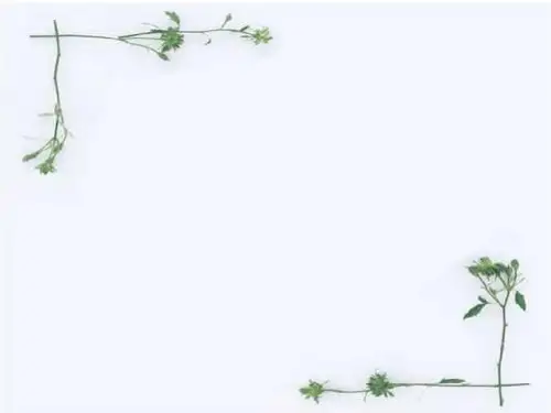 北师大版二年级数学下册整理与复习