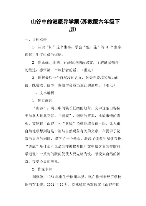 山谷中的谜底导学案(苏教版六年级下册)