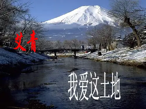 九年级语文下《我爱这土地》课件人教版完整版文档