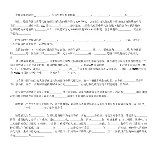 生物氧化及糖代谢填填看