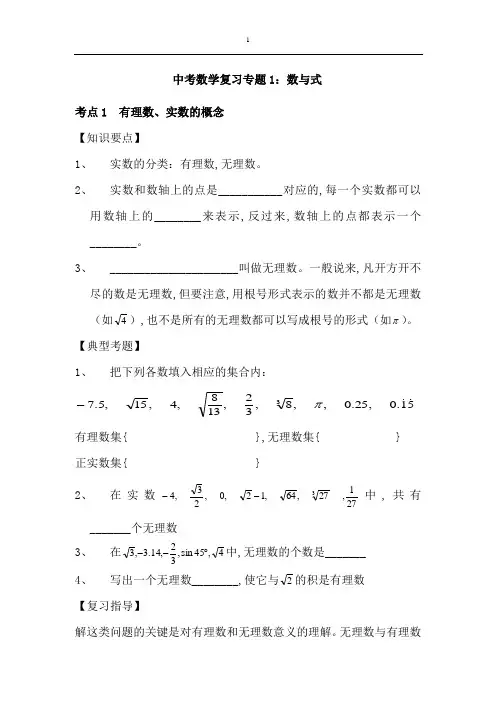 中考数学复习专题一：数与式