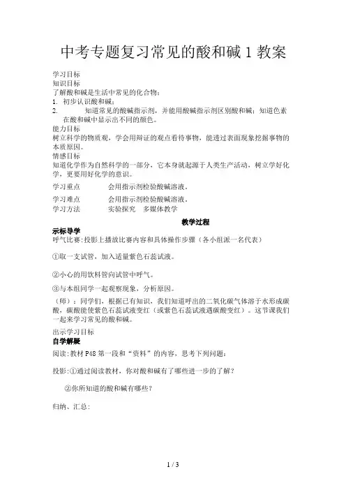 中考专题复习常见的酸和碱1教案