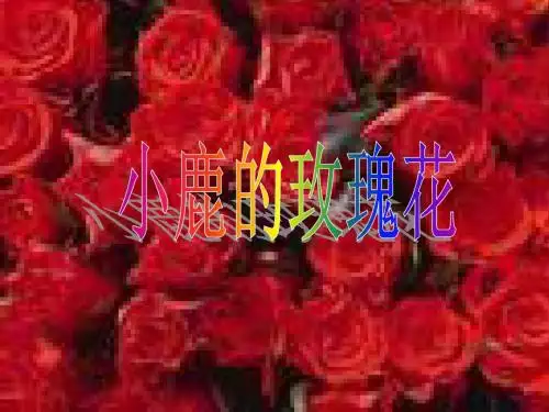 《小鹿的玫瑰花》