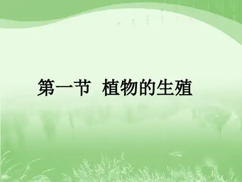 植物的生殖-PPT课件