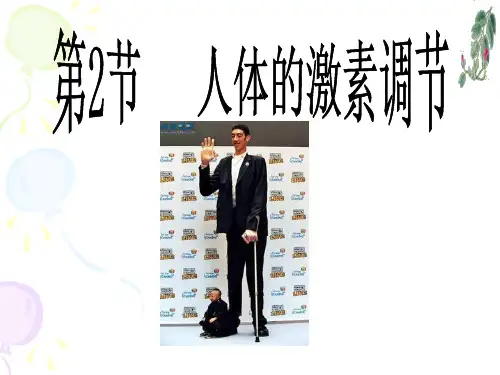 人体的激素调节