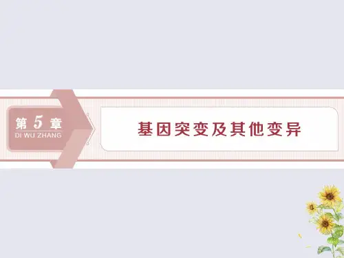 2019_2020学年高中生物第5章基因突变及其他变异第1节基因突变和基因重组课件新人教版必修2