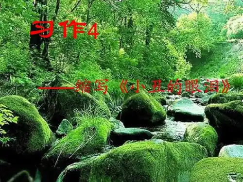 苏教版四年级语文上册《习作4》