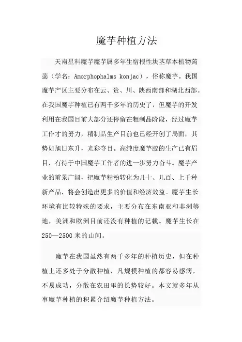 魔芋种植方法