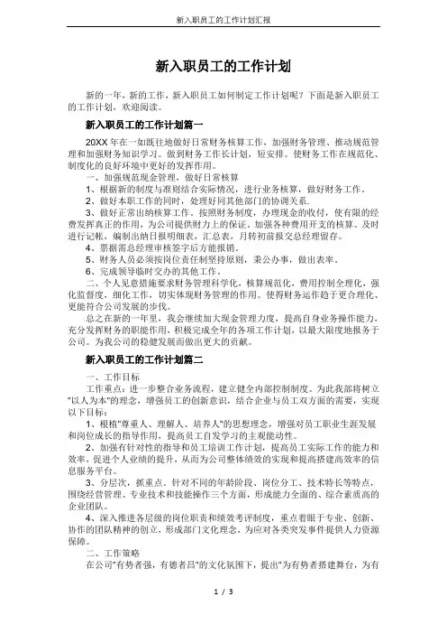 新入职员工的工作计划汇报